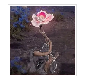 游侠网6