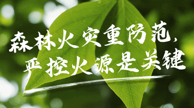 辅助卡盟24小时自动发卡平台_cf辅助卡盟_辅助卡盟网