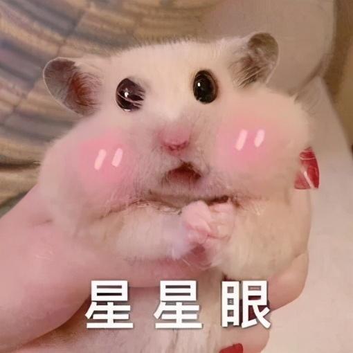 穿越火线小号卡盟_小号卡盟网_CF小号卡盟