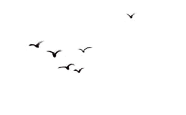 永劫无间卡下载_lol永劫无间_永劫无间卡盟