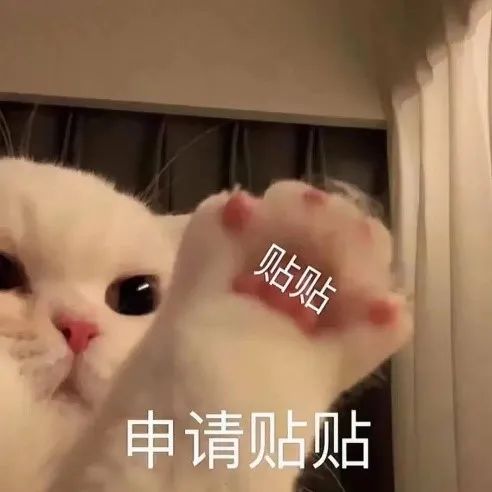 永劫辅助_辅助永劫无间_永劫辅助官网