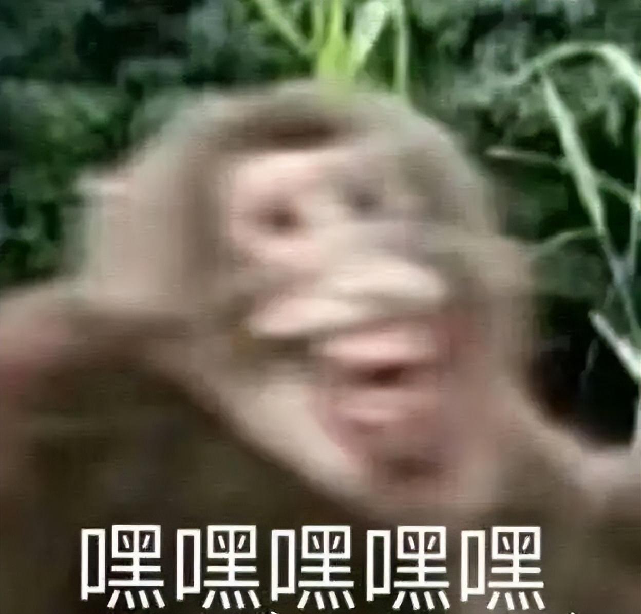 永劫无间无间_永劫无间_永劫无间的间