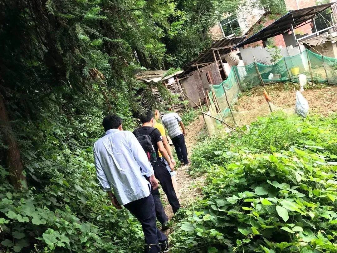 英雄联盟卡盟_联盟卡是什么意思_英雄联盟卡盟是什么