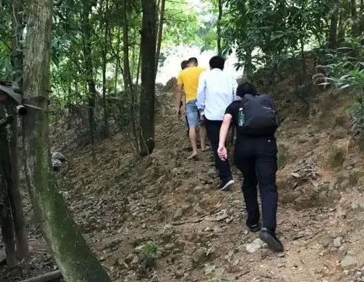 英雄联盟卡盟是什么_联盟卡是什么意思_英雄联盟卡盟