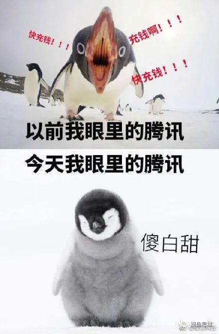 联盟卡是什么意思_lol卡盟平台_英雄联盟卡盟是什么