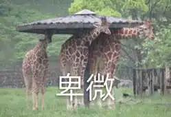 无畏契约辅助怎么用_无畏契约有加时吗_契约辅助无畏用什么技能