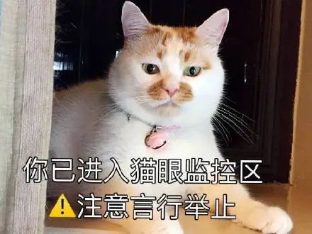 无畏契约技能_无畏契约有加时吗_无畏契约辅助怎么用
