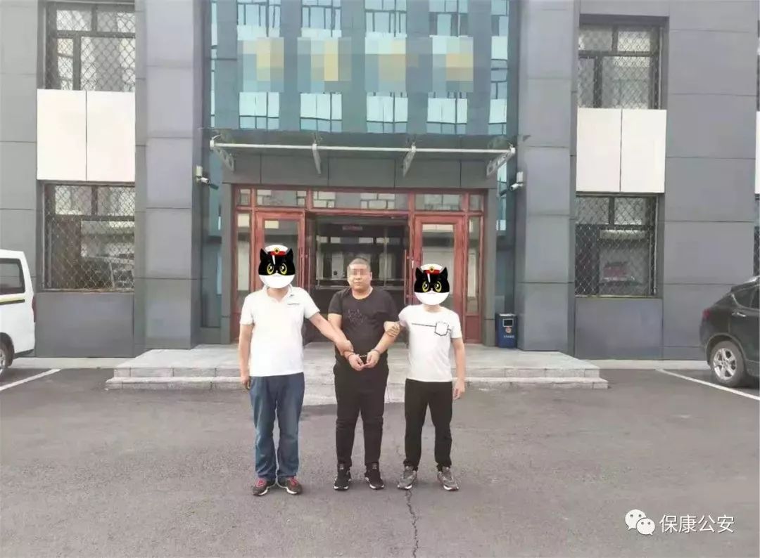 卡盟外挂_开挂卡盟_全网最全辅助卡盟