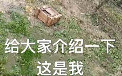 三级求生绝地套多少钱_绝地求生三级图片_绝地求生三级套