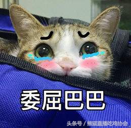绝地求生新手枪配_绝地求生神枪手_手游绝地求生那款枪怎么搭配