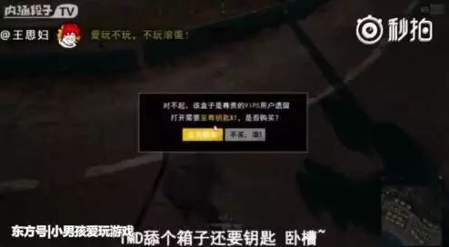 求生绝地辅助免费下载_绝地求生免费辅助_绝地求生辅助免费版