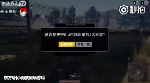 绝地求生免费辅助_求生绝地辅助免费下载_绝地求生辅助免费版