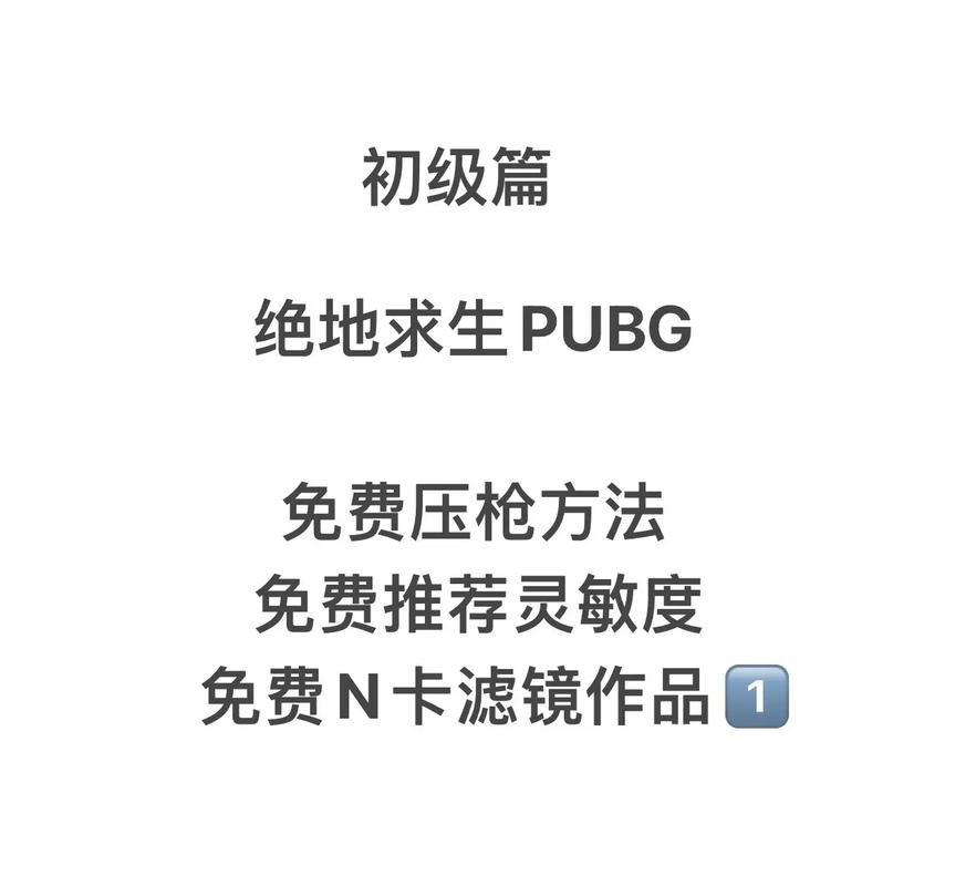 绝地求生压枪工具_求生绝地工具压枪怎么设置_绝地求生压枪技巧攻略视频