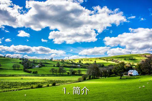 1. 简介