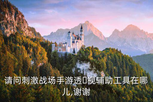 请问刺激战场手游透‏视辅助工具在哪儿,谢谢
