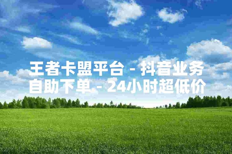 低价卡盟辅助_低价辅助卡盟全网货源站_低价辅助卡盟排行