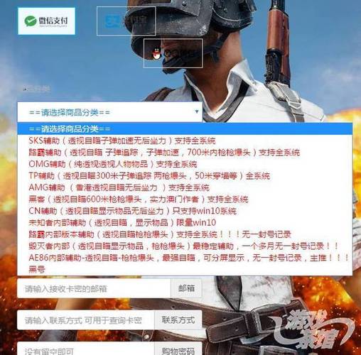 闪电直装pubg辅助下载_pubg辅助软件中文版_绝地求生免费辅助