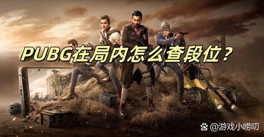 绝地求生排位_绝地求生排位图_绝地求生的排位