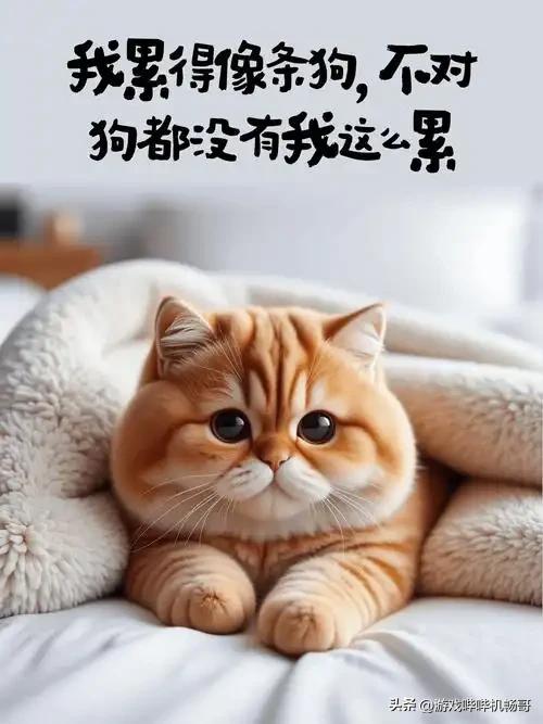 手残党专属射击游戏推荐_Steam免费射击游戏_绝地求生免费辅助